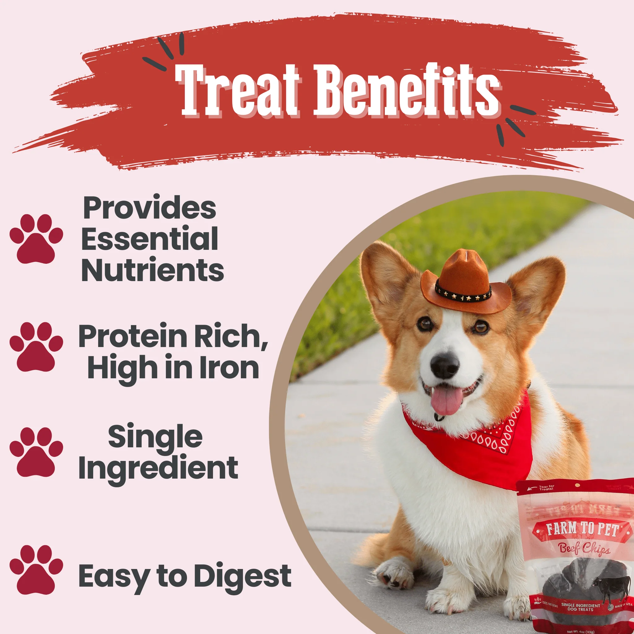 Beef Chips Dog Treats | Single-Ingredient Healthy Treats for Dogs - Image 6