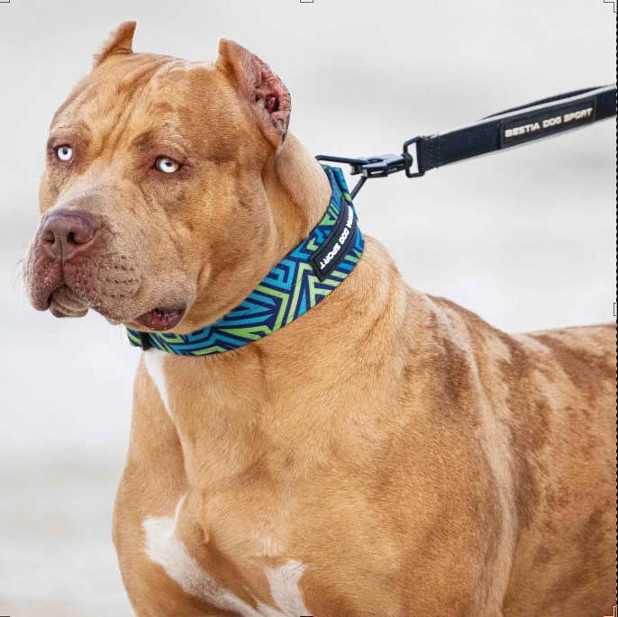 Bestia Dog Sport GripPro Print Collar - Blue&Green - Image 3